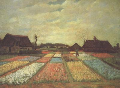 Vincent Van Gogh Bulb Fields (nn04) Norge oil painting art